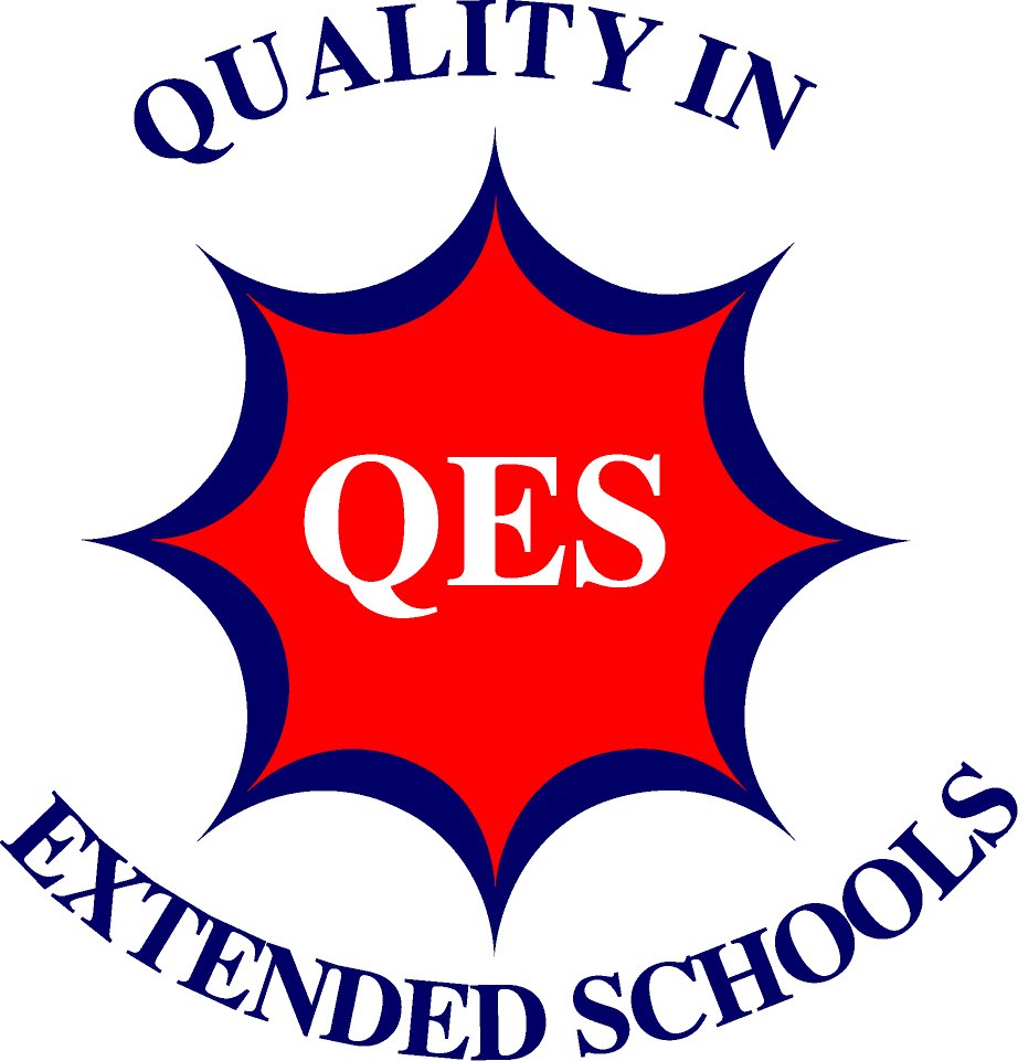 Image result for QES logo