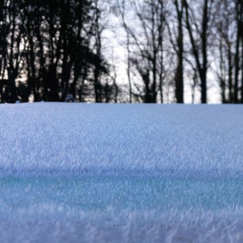 Frosty mornings at school