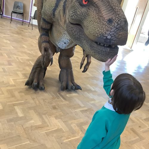 IMG0627