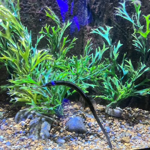 Trip to Hastings Aquarium