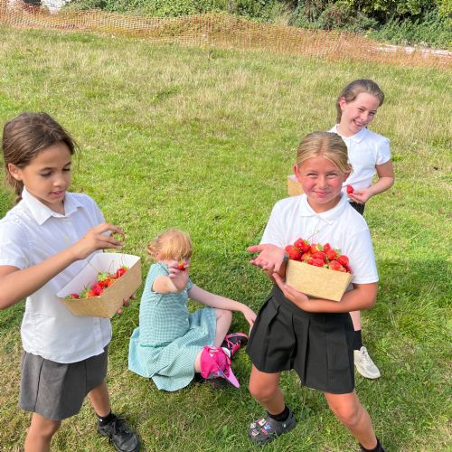 IMG9024