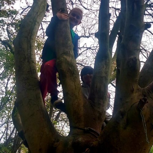 Term 2 - Year 6 Forest School